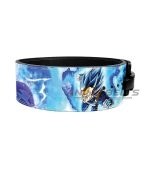Vegeta Evo Anime Lever